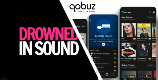 Drowned in Sound and Qobuz partnership creative shown with music app screens.
